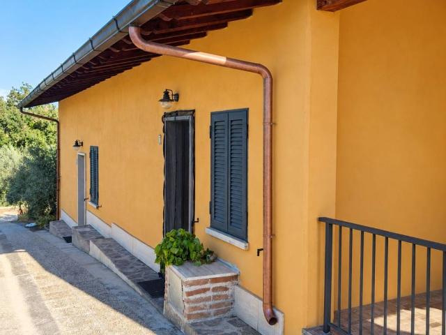 Appartamento in affitto a Roma RM