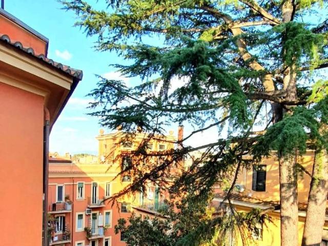 Appartamento in affitto a Roma RM