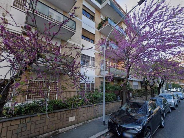 Appartamento in affitto a Roma RM