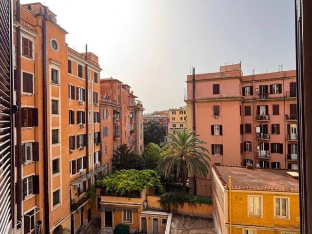 Appartamento in affitto a Roma RM
