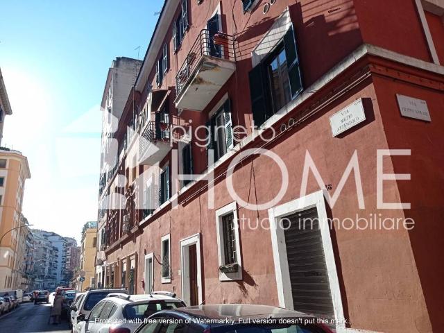 Appartamento in affitto a Roma RM