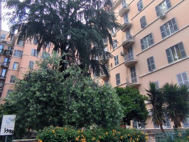 Appartamento in affitto a Roma RM