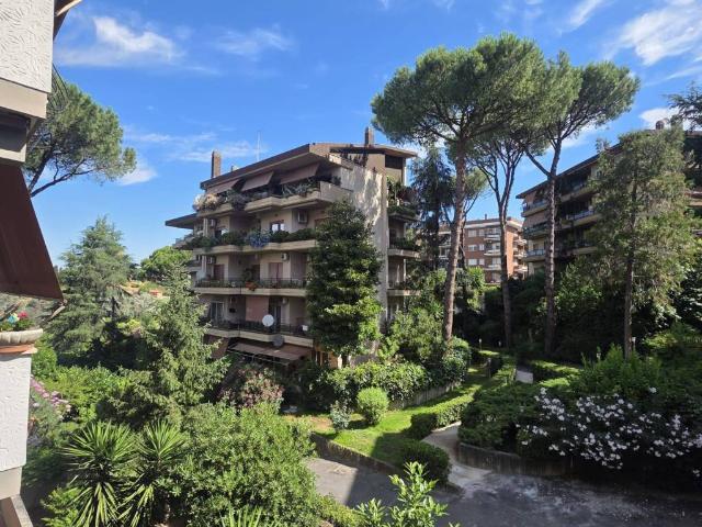 Appartamento in affitto a Roma RM