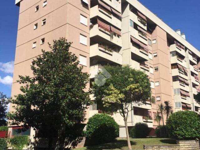 Appartamento in affitto a Roma RM