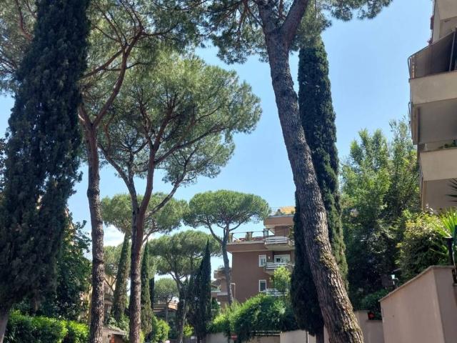 Appartamento in affitto a Roma RM