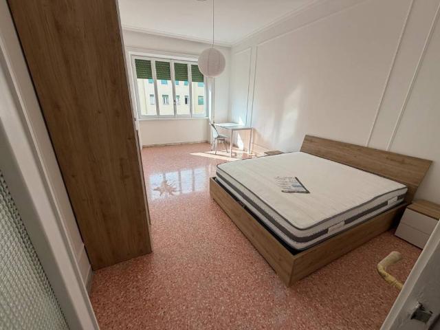 Appartamento in affitto a Roma RM