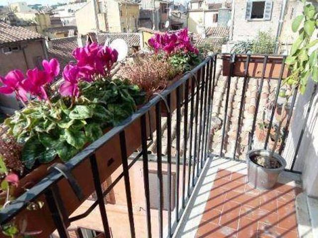Appartamento in affitto a Roma RM