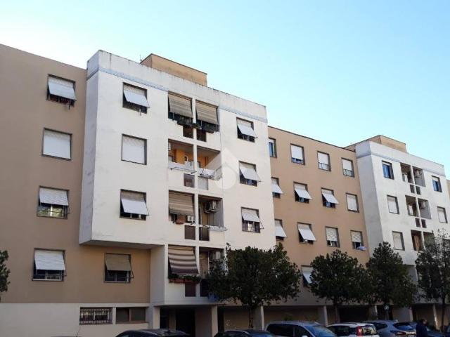 Appartamento in affitto a Roma RM