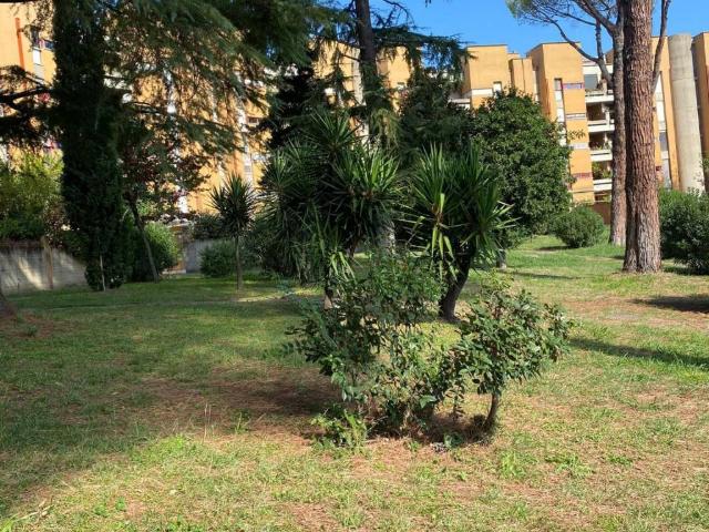 Appartamento in affitto a Roma RM