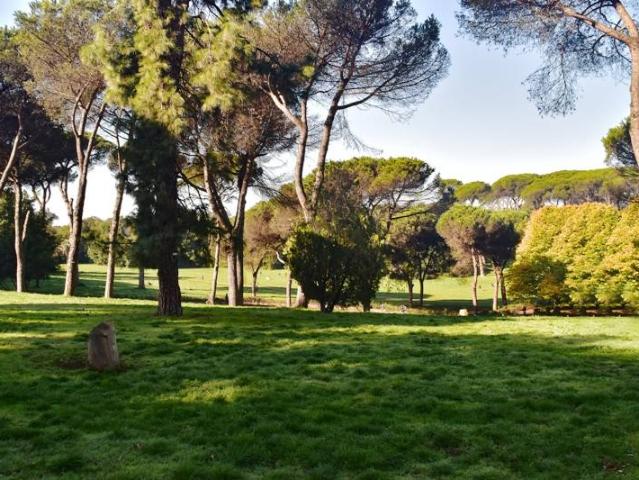 Appartamento in affitto a Roma RM