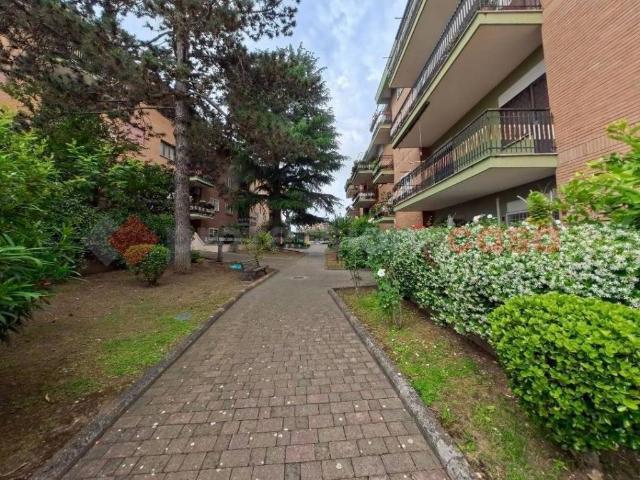 Appartamento in affitto a Roma RM