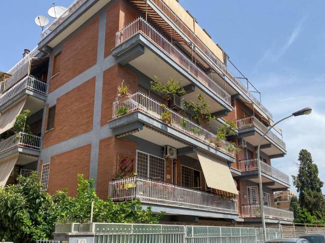 Appartamento in affitto a Roma RM