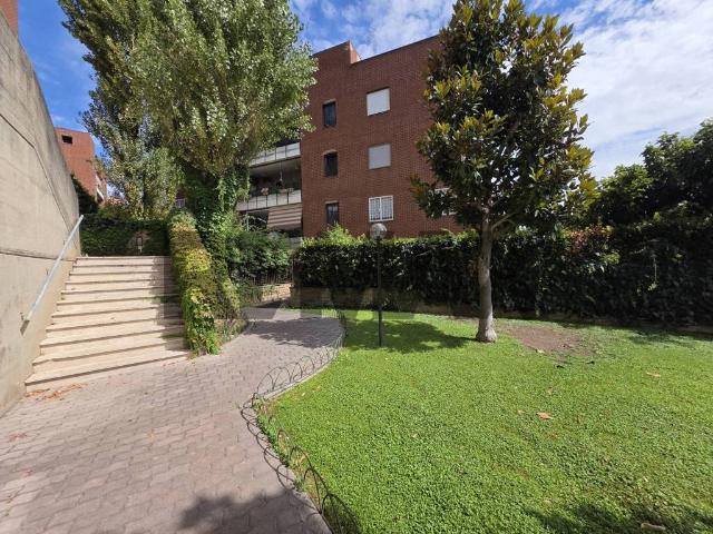 Appartamento in affitto a Roma RM