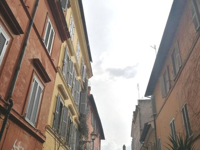 Appartamento in affitto a Roma RM