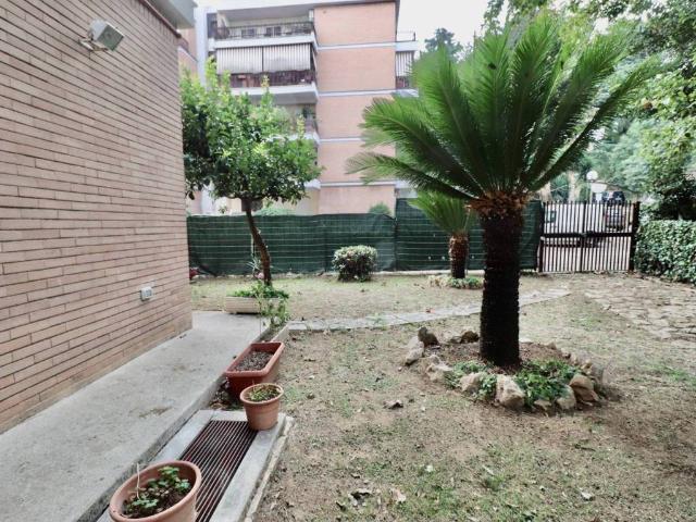 Appartamento in affitto a Roma RM