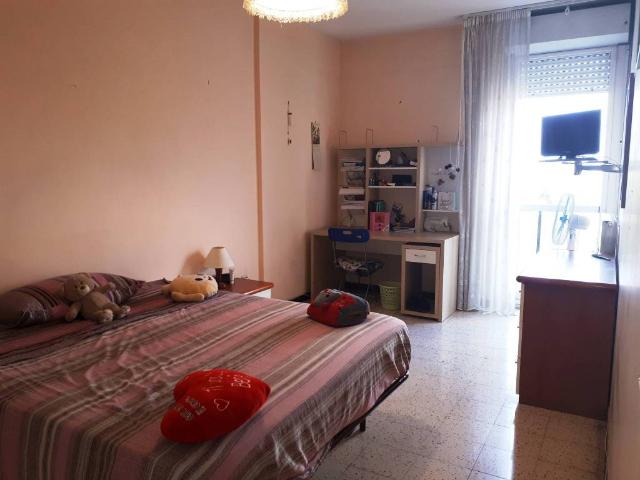 Appartamento in affitto a Roma RM