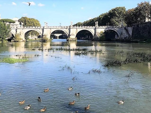 Appartamento in affitto a Roma RM