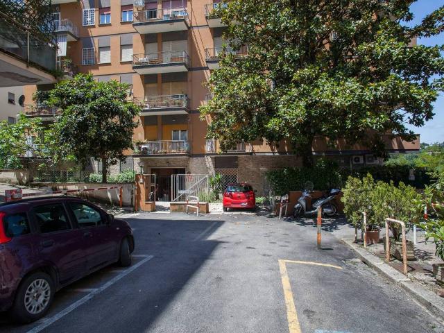 Appartamento in affitto a Roma RM