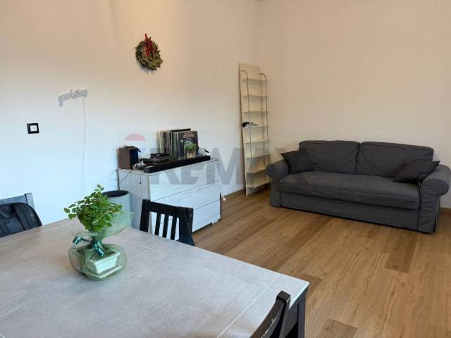 Appartamento in affitto a Roma RM