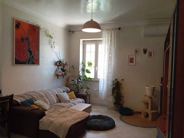 Appartamento in affitto a Roma RM