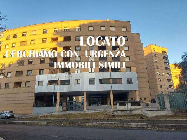 Appartamento in affitto a Roma RM