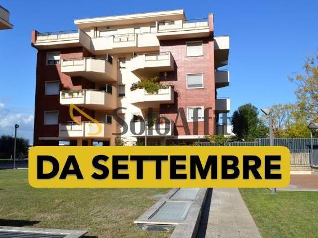 Appartamento in affitto a Roma RM