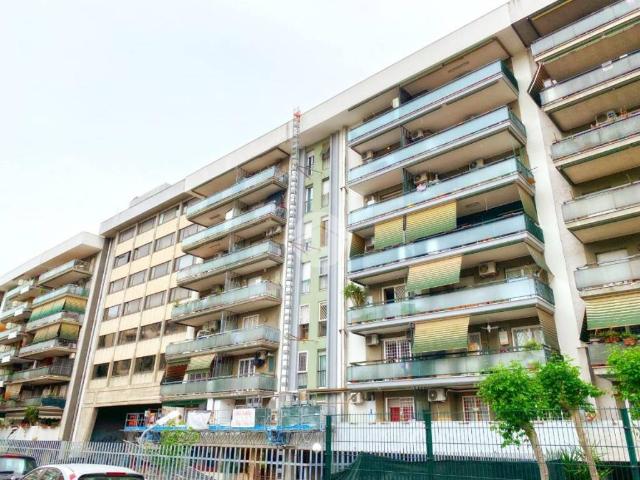 Appartamento in affitto a Roma RM