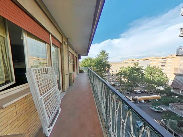 Appartamento in affitto a Roma RM