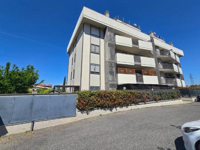 Appartamento in affitto a Roma RM