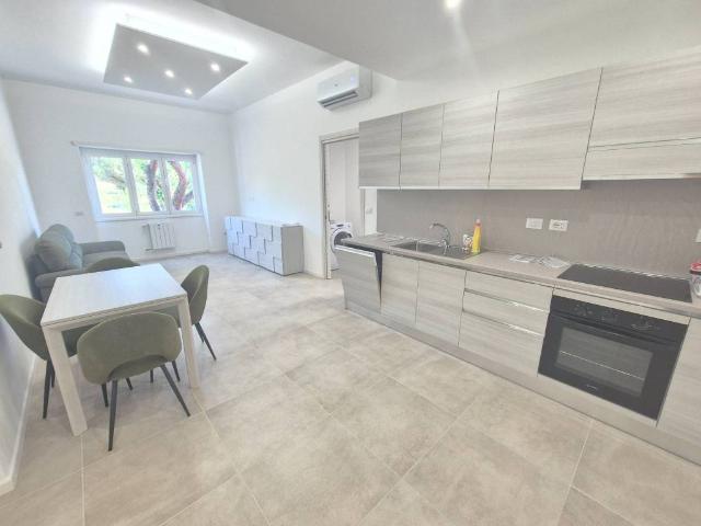 Appartamento in affitto a Roma RM