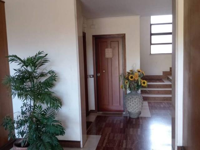 Appartamento in affitto a Roma RM