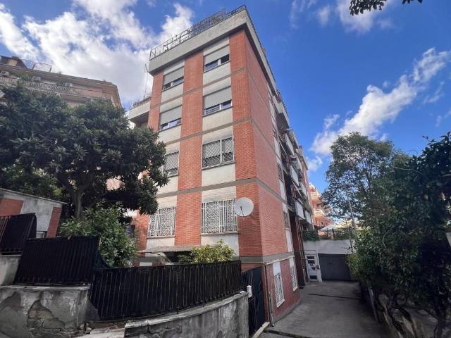 Appartamento in affitto a Roma RM