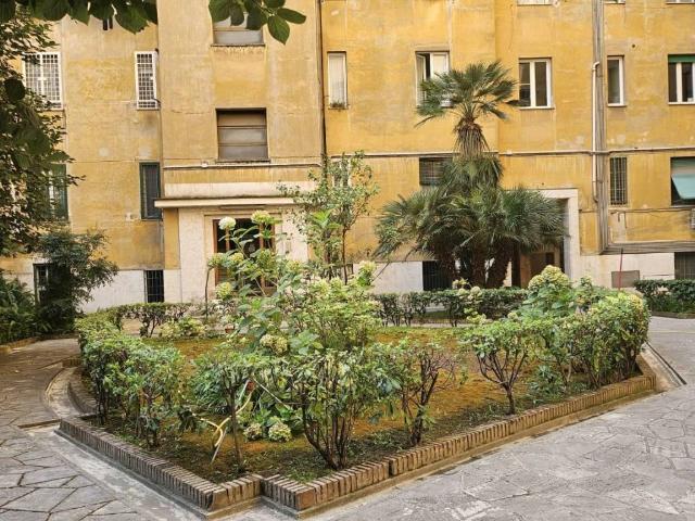 Appartamento in affitto a Roma RM