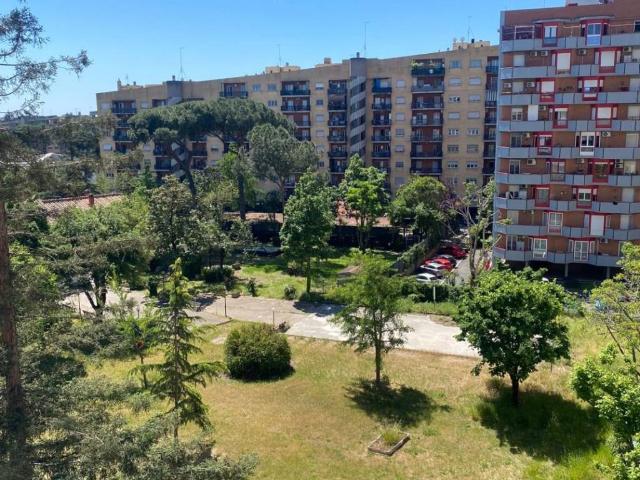 Appartamento in affitto a Roma RM