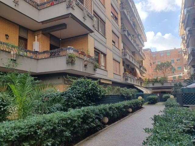 Appartamento in affitto a Roma RM