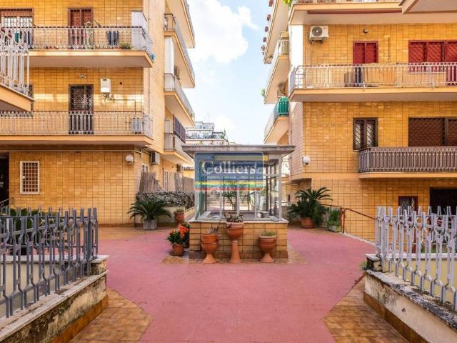 Appartamento in affitto a Roma RM