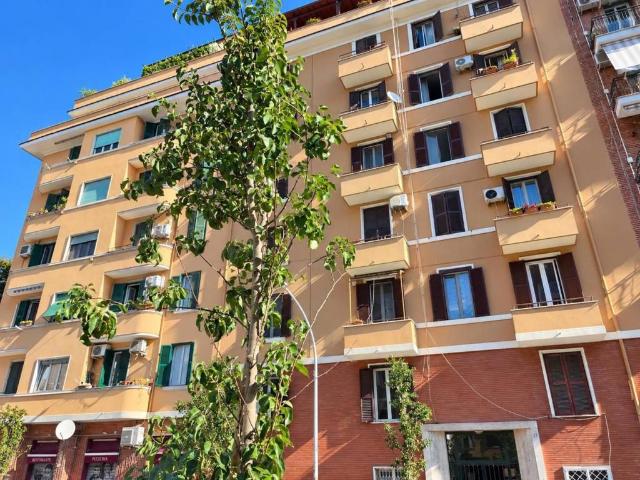 Appartamento in affitto a Roma RM