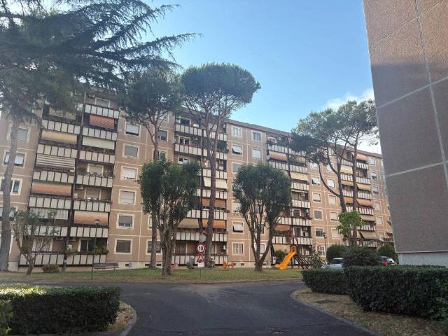Appartamento in affitto a Roma RM