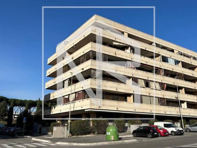Appartamento in affitto a Roma RM