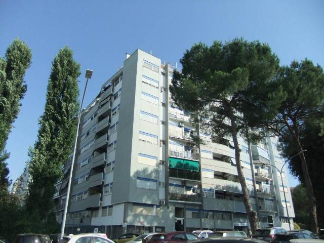 Appartamento in affitto a Roma RM