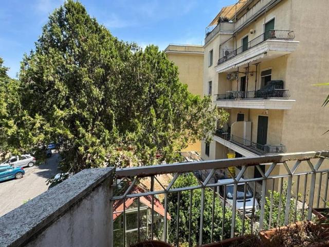 Appartamento in affitto a Roma RM