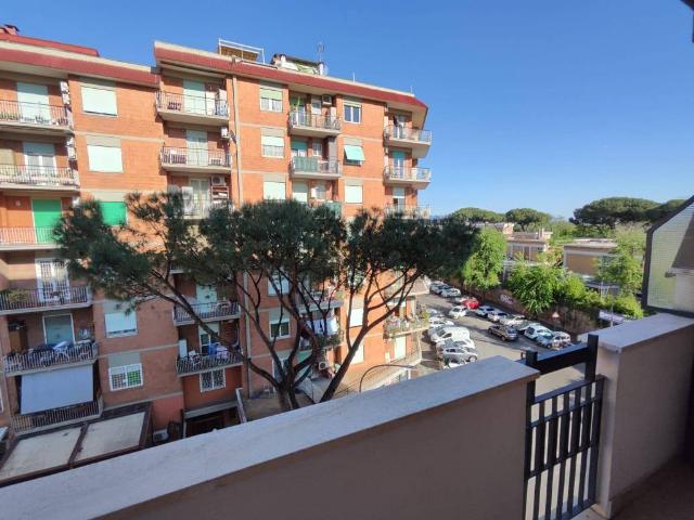 Appartamento in affitto a Roma RM