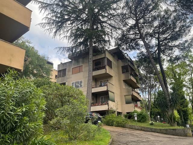 Appartamento in affitto a Roma RM
