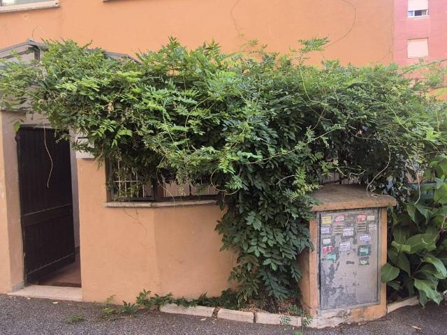 Appartamento in affitto a Roma RM