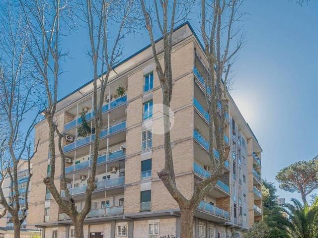 Appartamento in affitto a Roma RM