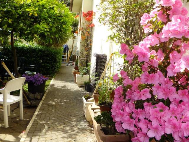 Appartamento in affitto a Roma RM