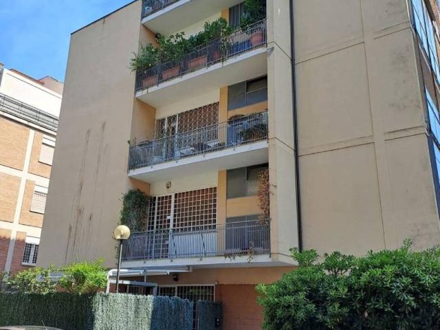 Appartamento in affitto a Roma RM