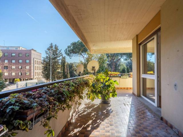 Appartamento in affitto a Roma RM
