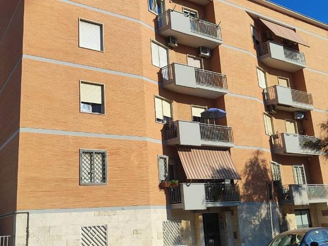 Appartamento in affitto a Roma RM