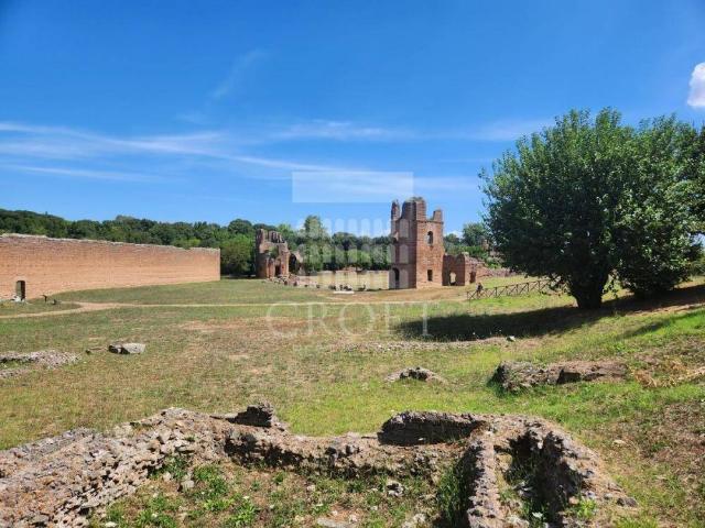 Appartamento in affitto a Roma RM